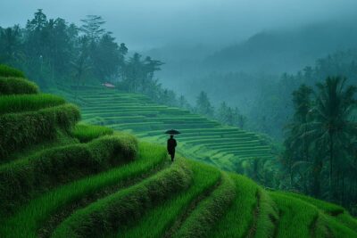Saison des pluies Bali : Quand l’éviter et comment en profiter malgré tout